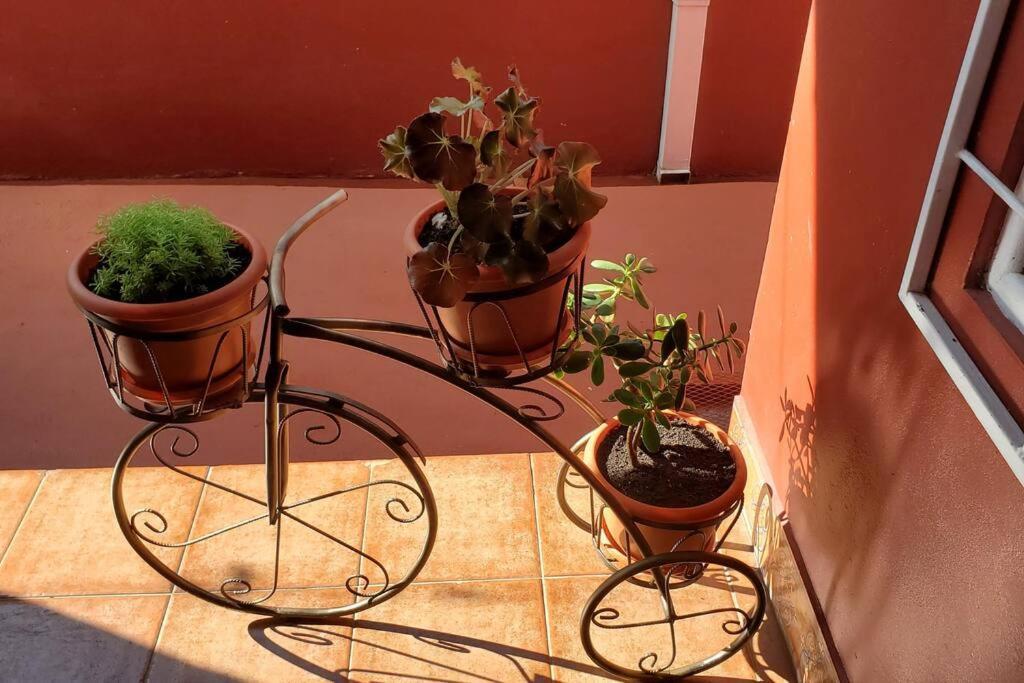 Sergio's House Holiday home Cartago
